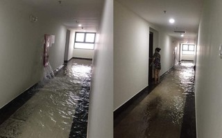 Hà Nội: Cư dân khốn khổ 'bơi trong lũ' ở khu chung cư đắt tiền