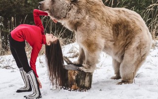 Mãn nhãn với những động tác Yoga của cô gái với gấu nâu khổng lồ 