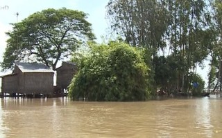 Lập phương án ứng phó lũ vùng Đồng bằng sông Cửu Long