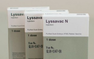 Vaccine phòng dại Lyssavac N bị dừng lưu hành