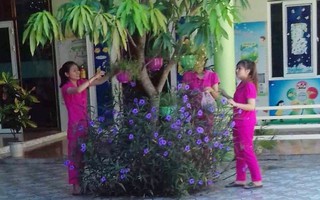 Năm học mới không có học trò của những 'cô giáo quỳ xin dạy học' ở Nghệ An