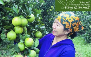 Hà Tĩnh: Lễ hội tôn vinh nông sản và thành tựu xây dựng nông thôn mới