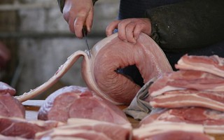 Dấu hiệu nhận biết thịt lợn bị bệnh lở mồm long móng