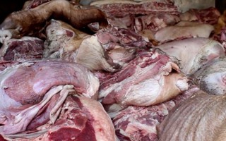 Gần 1 tấn thịt heo thối bị phát hiện ở Bình Dương