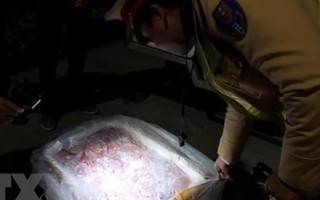 Hà Nội: Thu giữ gần 3 tấn nội tạng động vật nhập lậu 