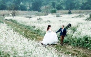 Bộ ảnh cưới tuyệt đẹp trên cao nguyên Mộc Châu 