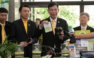 Thái Lan ra mắt công cụ 'hạ gục' 1 triệu con muỗi trong 4 tuần