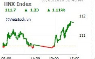 Cổ phiếu của Vinamilk và ngân hàng dẫn sóng, VN-Index tăng gần 11 điểm