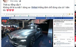 Cơn bão mang tên VinFast vừa 'càn quyét' trên cộng đồng mạng