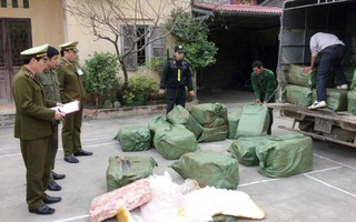 Lạng Sơn: Thu giữ hơn 2 tấn nầm lợn thối nhập lậu từ Trung Quốc