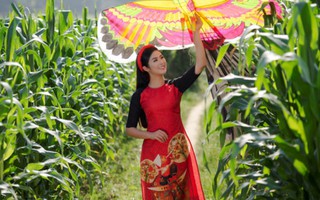 Hoa hậu Ngọc Hân đưa "Bức họa đồng quê" vào áo dài