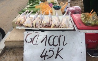 Gà siêu rẻ ở Sài Gòn: Thực phẩm hay 'rác'?