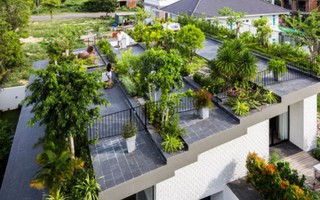 Khu vườn xanh mướt trên mái nhà độc nhất vô nhị ở Việt Nam