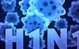 Cúm A/H1N1 gây tử vong cao