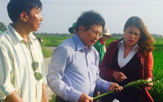 ‘3 nhà’ phối hợp hiện thực hóa sản phẩm nông sản sạch