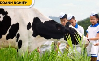 Sáng tạo để khẳng định vị thế thương hiệu sữa số 1 Việt Nam