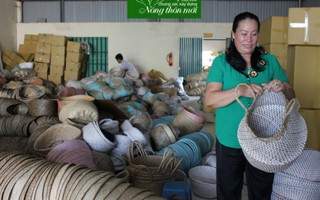 Nữ giám đốc tạo việc cho 7.000 lao động nông nhàn