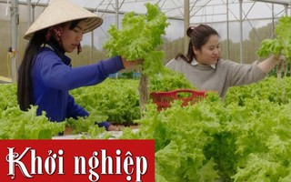 Phụ nữ Măng Đen thu nhập ổn định nhờ trồng rau an toàn