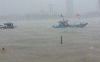 Hải Phòng, Quảng Ninh huy động lực lượng giúp dân gặt lúa chạy bão