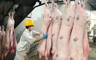 TPHCM kiểm soát chặt chất lượng thịt heo từ chợ tới siêu thị