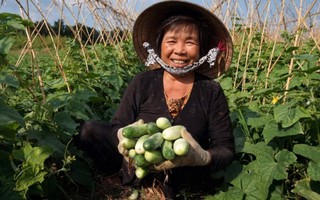 Bạc Liêu nỗ lực giảm nghèo trong đồng bào Khmer