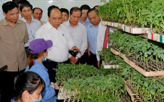 Ngày 30/7, Thủ tướng chủ trì Hội nghị thúc đẩy đầu tư vào nông nghiệp