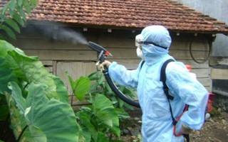 Thiếu nữ Hàn Quốc nhiễm virus Zika từng ở quận 7, TP.HCM