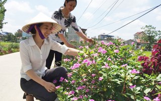 Các cấp Hội LHPN tỉnh Nam Định thành công với 1.500 km 'Tuyến đường hoa' 