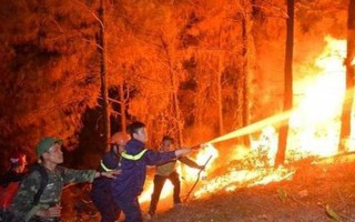 1 phụ nữ ở Nghệ An tử vong khi tham gia chữa cháy rừng