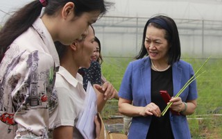 Mô hình trồng rau sạch ở Bắc Ninh lãi 13 triệu đồng/sào/năm