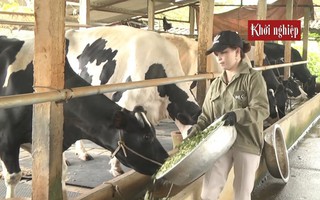 Nuôi bò sữa quy mô lớn, nông dân Vĩnh Phúc được vinh danh Nông dân Việt Nam xuất sắc 2019