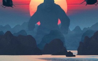 Việt Nam tuyệt đẹp trong phim 'bom tấn' Mỹ ‘Kong: Đảo đầu lâu'