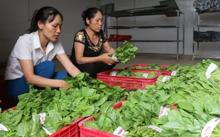 Hỗ trợ phụ nữ khởi nghiệp từ mô hình kinh tế tập thể ở Bắc Ninh