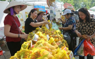  Người Hà Nội 'đội nắng' đến Hội chợ thực phẩm sạch