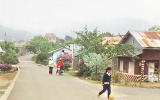 Gắn bảo vệ môi trường với xây dựng nông thôn mới của phụ nữ Lâm Đồng