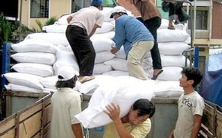 Hỗ trợ Bình Định hơn 5 tấn gạo cứu đói cho dân bị sa bồi, thủy phá