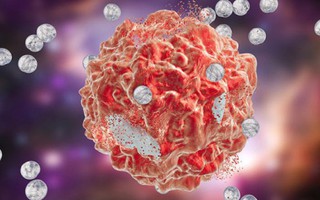 Hạt nano chuyển hoạt chất diệt tế bào ung thư