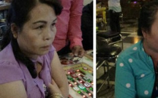 Hai nữ quái tham gia tổ chức đánh bạc trá hình bằng game bắn cá 
