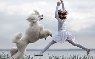Ngất ngây khoảnh khắc bé gái “khiêu vũ” cùng người bạn 4 chân 