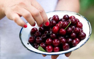 Cherry sắp trở thành trái cây “bình dân” ở Việt Nam