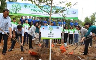  Phát huy đạo lý ‘Uống nước nhớ nguồn’, Vinamilk trồng 100.000 cây xanh tại Bắc Kạn