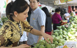 Người Hà Nội ‘đội nắng’ mua nông sản an toàn từ Sơn La