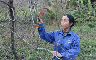 Nhiều cách làm sáng tạo, hiệu quả trong giảm nghèo ở xứ Lạng