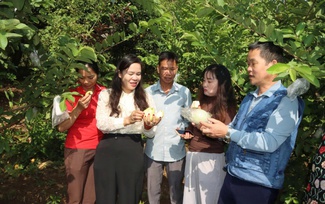 Bước chuyển trong công tác giảm nghèo ở Gia Phù