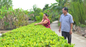 Nông thôn Định Hòa đang bừng lên sức sống mới
