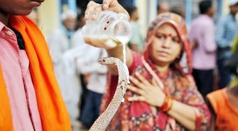 Naga Panchami, lễ hội tôn thờ rắn thiêng của tín đồ đạo Hindu