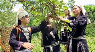 Phát triển toàn diện, nhanh, bền vững vùng đồng bào dân tộc thiểu số
