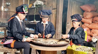 Hỗ trợ cho vay tới 96 tỷ đồng để phát triển vùng trồng dược liệu quý