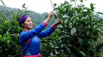 Tạo ấn tượng khó quên với mỗi du khách đến thăm Bản Liền
