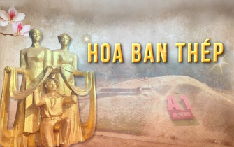 Phim tài liệu: Hoa ban thép - Phụ nữ và Chiến thắng Điện Biên Phủ (tập 2)